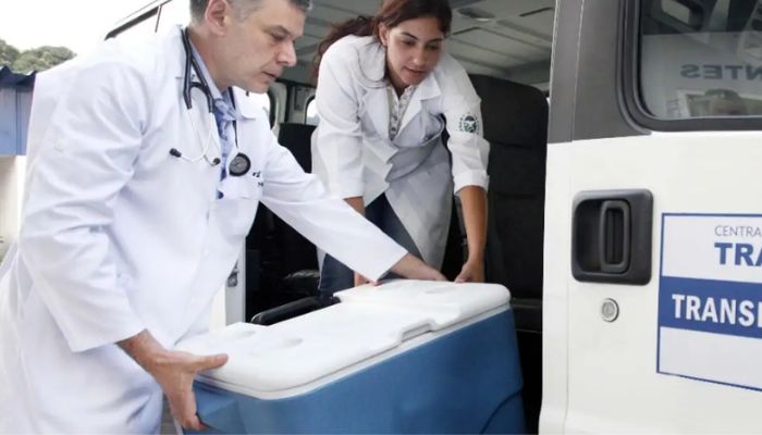 Brasil bate recorde de transplantes em 2025